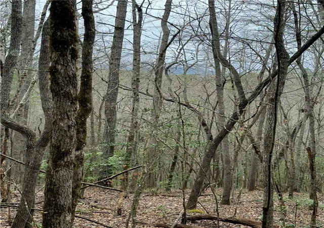 Photo 2 of Land for sale at 807 E Ridge Ln, Ellijay, GA 30536 | MLS# 7739366 | Listing updated on 2026-06-08