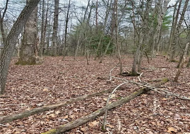 Photo 2 of Land for sale at 807 E Ridge Ln, Ellijay, GA 30536 | MLS# 7739366 | Listing updated on 2026-06-08