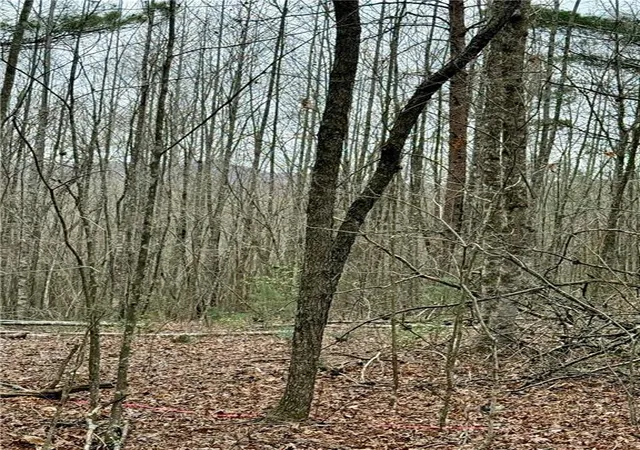 Photo 3 of Land for sale at 807 E Ridge Ln, Ellijay, GA 30536 | MLS# 7739366 | Listing updated on 2026-06-08