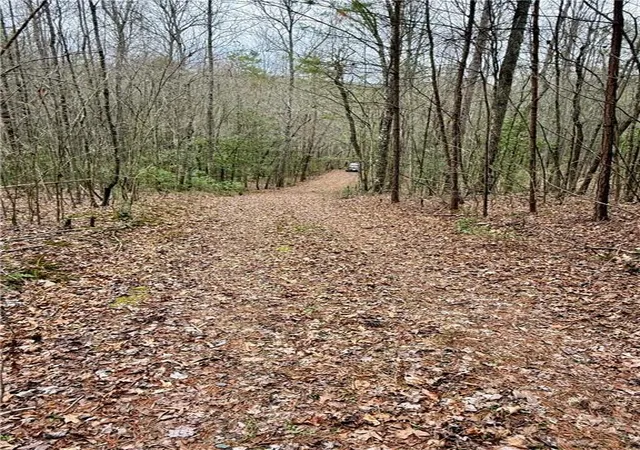 Photo 4 of Land for sale at 807 E Ridge Ln, Ellijay, GA 30536 | MLS# 7739366 | Listing updated on 2026-06-08