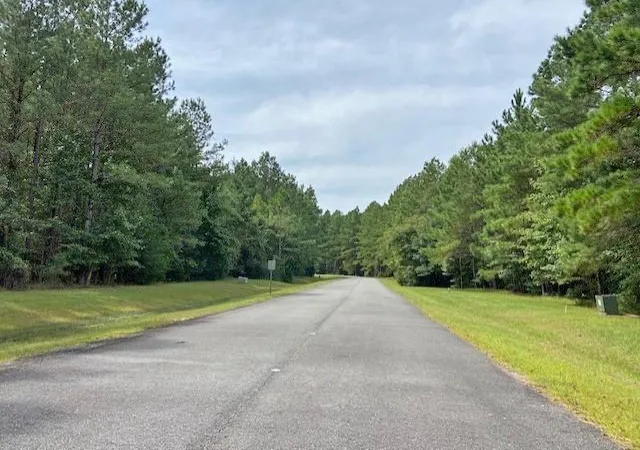 Homes for sale in Waverly, GA | 0 La Sole Ln, Waverly, GA 31565 | MLS# 7127749