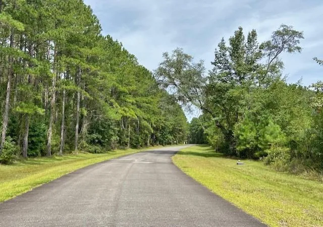 Homes for sale in Waverly, GA | 0 La Sole Ln, Waverly, GA 31565 | MLS# 7127749