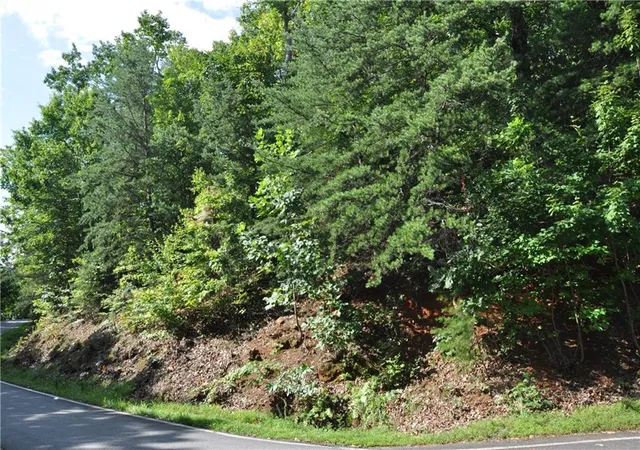 Photo 10 of Land for sale at 8261 Cox Mountain Dr, Jasper, GA 30143 | MLS# 7817743 | Listing updated on 2026-08-11