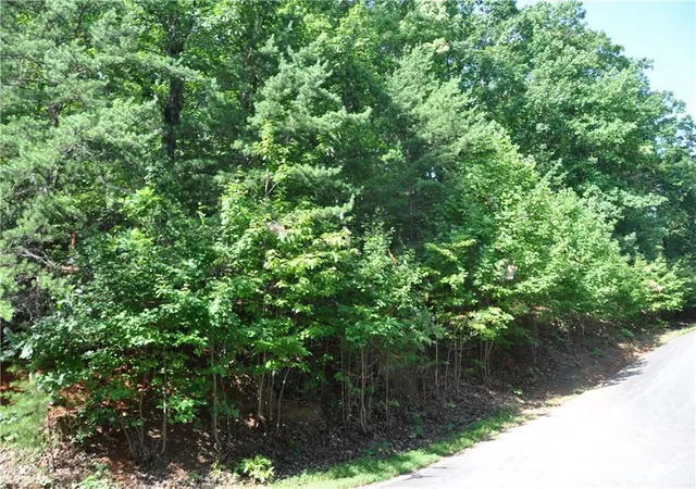 Photo 2 of Land for sale at 8261 Cox Mountain Dr, Jasper, GA 30143 | MLS# 7817743 | Listing updated on 2026-08-11
