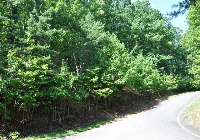 Photo 4 of Land for sale at 8261 Cox Mountain Dr, Jasper, GA 30143 | MLS# 7817743 | Listing updated on 2026-08-11