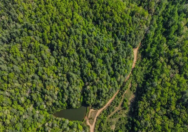 Photo 3 of Sale Pending at 80 Acr Valley Lake Rd, Mineral Bluff, GA 30559 | MLS# 7761609 | Listing updated on 2026-09-09
