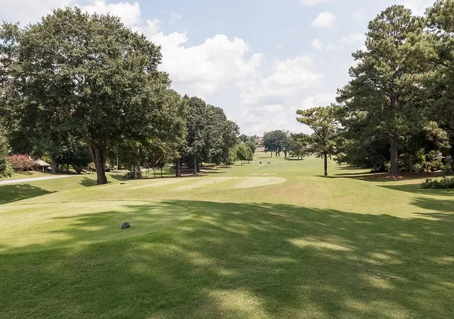 50th image of 120 Boxelder Ln, Roswell, GA 30076 | MLS# 7812573