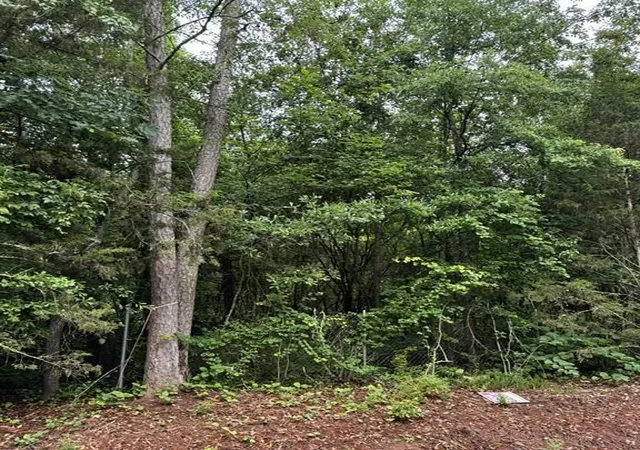Photo 1 of Land for sale at 0 Lewis Dr, Lavonia, GA 30553 | MLS# 7780379 | Listing updated on 2026-08-26
