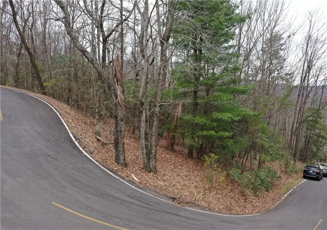 17th image of 1183 Mcelroy Mountain Dr, Jasper, GA 30143 | MLS# 7821007