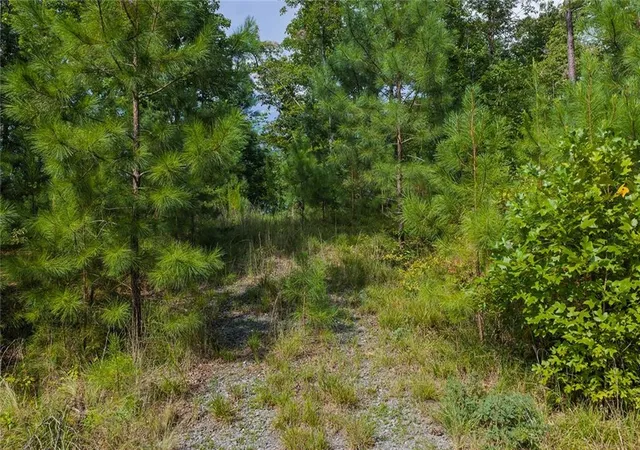 Photo 2 of Land for sale at 0 Harris Crk Dr, Ellijay, GA 30540 | MLS# 7822772 | Listing updated on 2026-08-18
