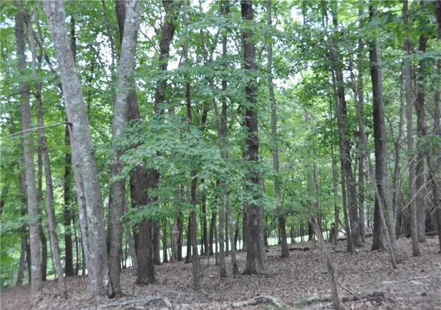 Photo 3 of Sale Pending at 2468 Wedgewood Dr, Jasper, GA 30143 | MLS# 7815557 | Listing updated on 2026-08-24