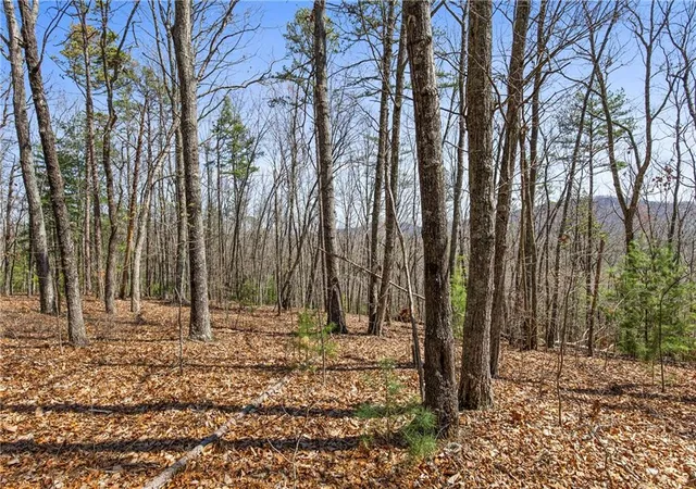 17th image of 40b Synacia Rd, Mineral Bluff, GA 30559 | MLS# 7812150