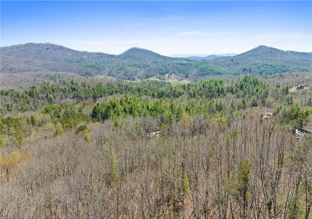 1st image of 40b Synacia Rd, Mineral Bluff, GA 30559 | MLS# 7812150