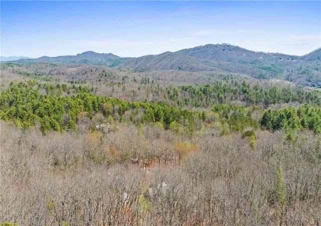 4th image of 40B Synacia Rd, Mineral Bluff, GA 30559 | MLS# 7812150