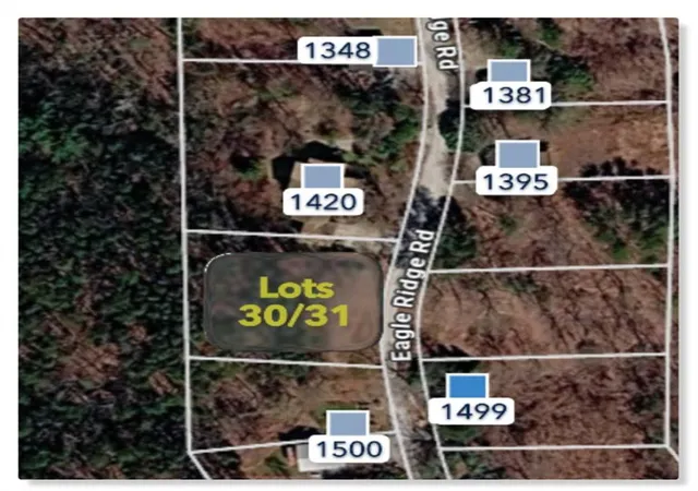 Homes for sale in Dawsonville, GA | Lt 30 Eagle Ridge Rd, Dawsonville, GA 30534 | MLS# 7734035