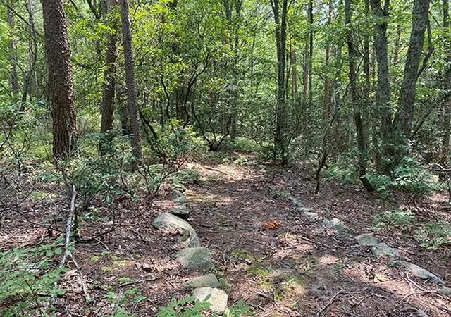 4th image of 280 Vistaview Pkwy, Jasper, GA 30143 | MLS# 7630019