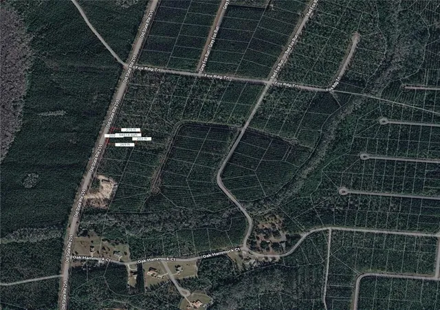 Homes for sale in Waynesville, GA | Lot27 Old State Rt 259, Waynesville, GA 31566 | MLS# 7739360