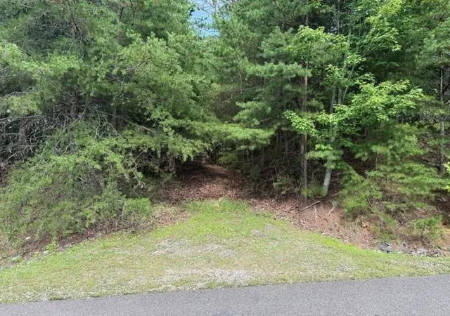 Photo 3 of Land for sale at 0 Owl Ridge Way, Jasper, GA 30143 | MLS# 7814425 | Listing updated on 2026-09-01