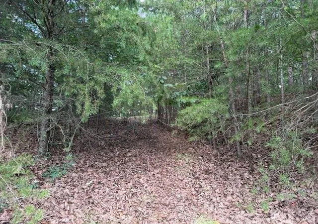 Photo 4 of Land for sale at 0 Owl Ridge Way, Jasper, GA 30143 | MLS# 7814425 | Listing updated on 2026-09-01