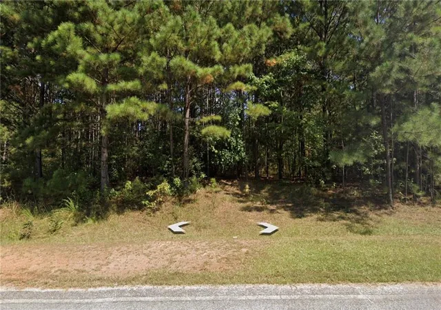 Homes for sale in Franklin, GA | 0 Ferry Rd, Franklin, GA 30217 | MLS# 7725641
