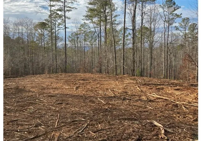 Land for sale at 277 Tippens Rd, Canton, GA 30114 | MLS# 7822743