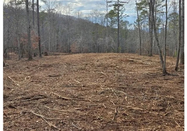 Photo 3 of Land for sale at 277 Tippens Rd, Canton, GA 30114 | MLS# 7822743 | Listing updated on 2026-08-18