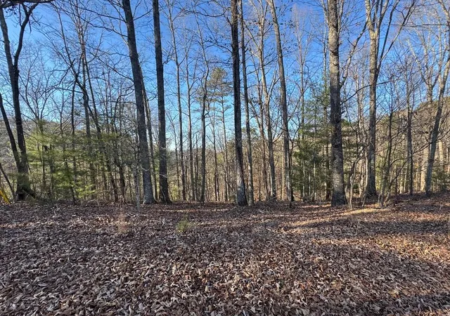 Photo 1 of Land for sale at 0 Rebekah Ridge, Talking Rock, GA 30175 | MLS# 7744352 | Listing updated on 2026-04-01