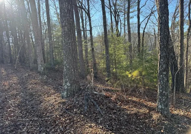 Photo 3 of Land for sale at 0 Rebekah Ridge, Talking Rock, GA 30175 | MLS# 7744352 | Listing updated on 2026-04-01
