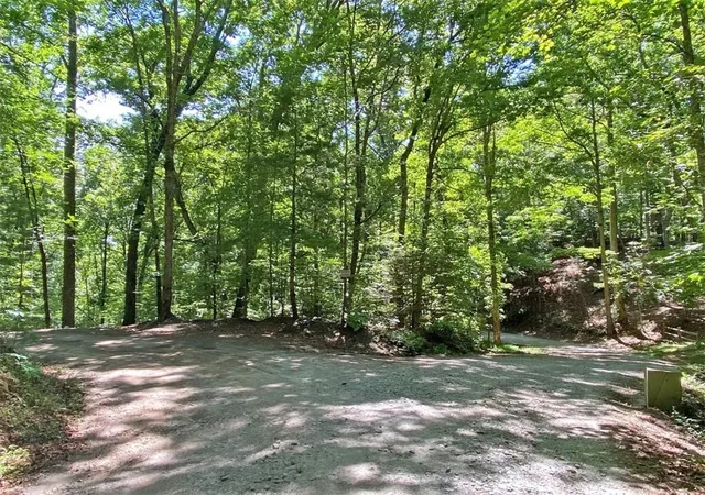 Homes for sale in Dahlonega, GA | 24ac Old River Rd, Dahlonega, GA 30533 | MLS# 7789315