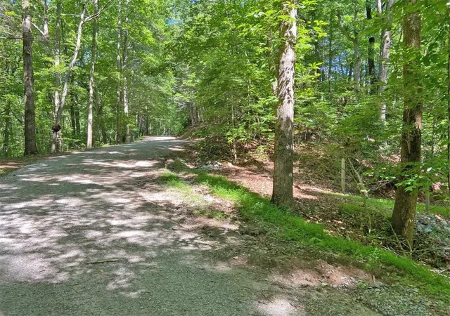 Homes for sale in Dahlonega, GA | 24ac Old River Rd, Dahlonega, GA 30533 | MLS# 7789315