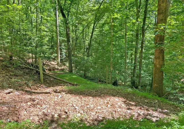 Homes for sale in Dahlonega, GA | 24Ac Old River Rd, Dahlonega, GA 30533 | MLS# 7789315