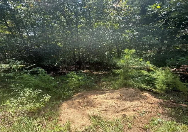 21st image of 237 Stillwater Ln, Dawsonville, GA 30534 | MLS# 7821962