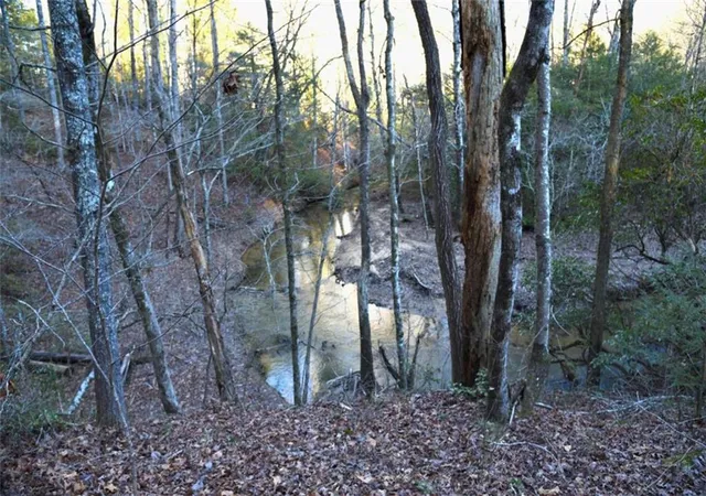33rd image of 409 Harrison Sluder Rd, Ellijay, GA 30540 | MLS# 7768883