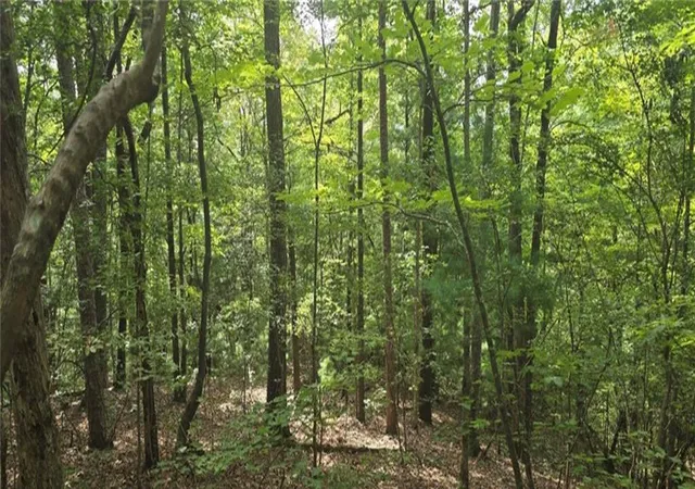 Photo 12 of Land for sale at Lot 17 Abbott Ml Rd, Ellijay, GA 30540 | MLS# 7763938 | Listing updated on 2026-05-03