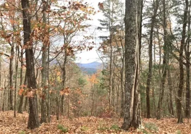 Photo 2 of Land for sale at Lot 17 Abbott Ml Rd, Ellijay, GA 30540 | MLS# 7763938 | Listing updated on 2026-05-03