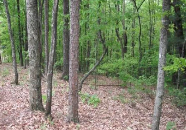 Photo 3 of Land for sale at Lot 17 Abbott Ml Rd, Ellijay, GA 30540 | MLS# 7763938 | Listing updated on 2026-05-03