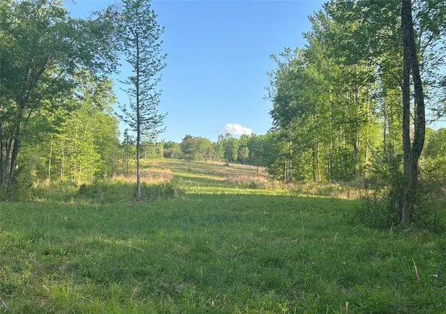 Homes for sale in Roopville, GA | 0 Needmore Rd Unit (34537 Acres), Roopville, GA 30170 | MLS# 7682574