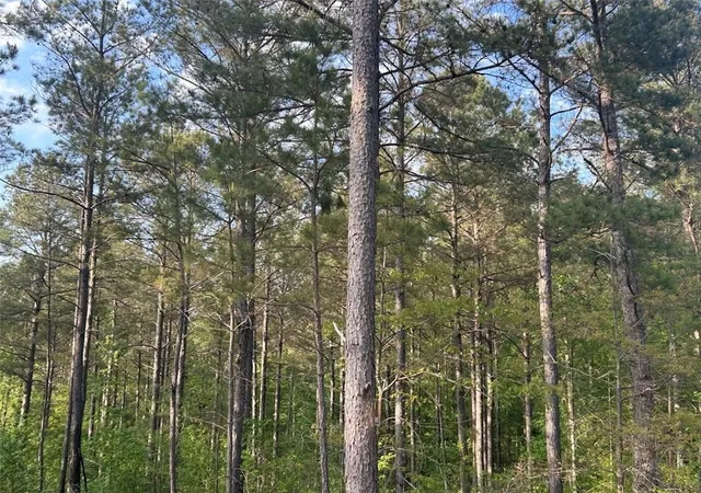 Homes for sale in Roopville, GA | 0 Needmore Rd Unit (34537 Acres), Roopville, GA 30170 | MLS# 7682574