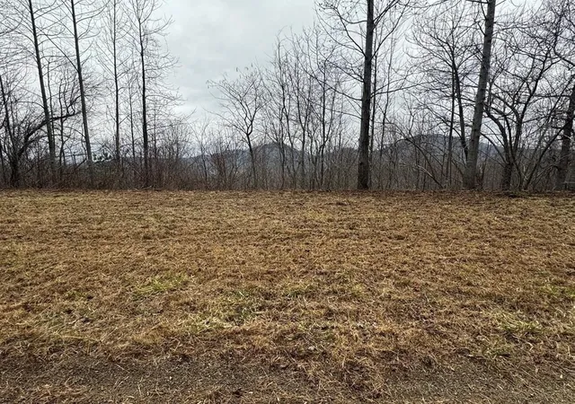 Photo 2 of Land for sale at Lot 10 Chatuge Manor, Young Harris, GA 30582 | MLS# 7525464 | Listing updated on 2026-08-07