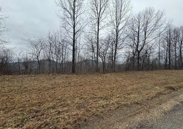 Photo 3 of Land for sale at Lot 10 Chatuge Manor, Young Harris, GA 30582 | MLS# 7525464 | Listing updated on 2026-08-07