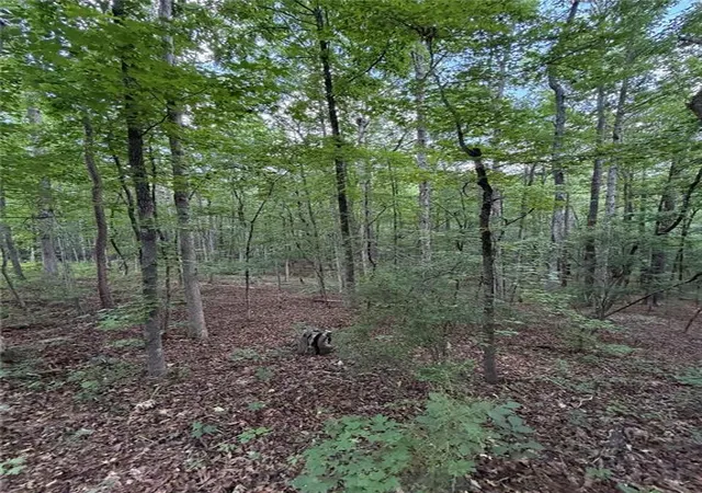 Photo 3 of Land for sale at 000 Serenity, Cataula, GA 31804 | MLS# 7789226 | Listing updated on 2026-08-29