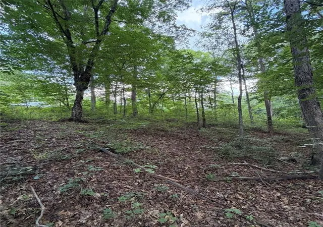 Photo 4 of Land for sale at 000 Serenity, Cataula, GA 31804 | MLS# 7789226 | Listing updated on 2026-08-29