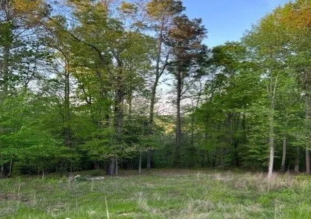 2nd image of 1628 Alcovy Ridge Crossing Crossing, Loganville, GA 30052 | MLS# 7772580