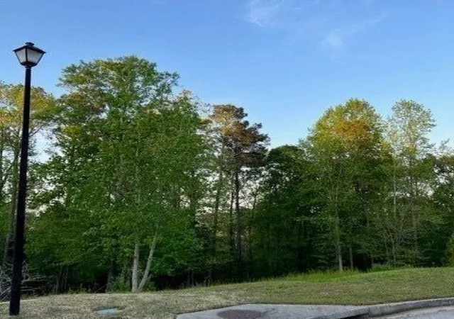 3rd image of 1628 Alcovy Ridge Crossing Crossing, Loganville, GA 30052 | MLS# 7772580
