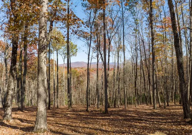 1st image of 19r Settlement Trl, Ellijay, GA 30536 | MLS# 7662789
