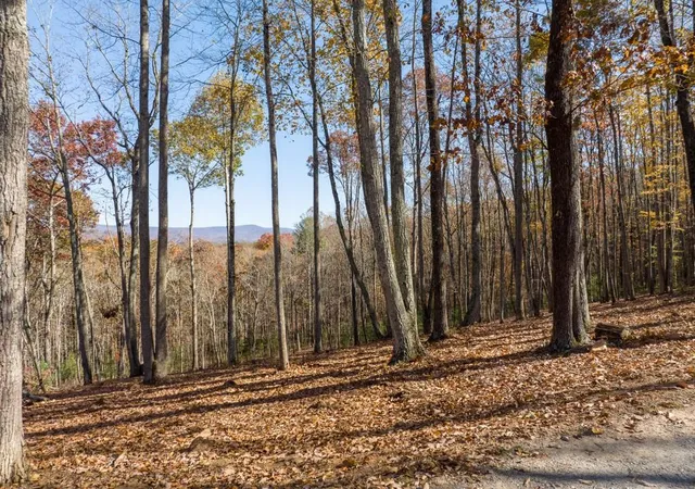 2nd image of 19r Settlement Trl, Ellijay, GA 30536 | MLS# 7662789