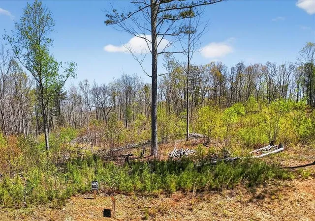 Photo 2 of Land for sale at 0 Twisted Oak Rd, Talking Rock, GA 30175 | MLS# 7745574 | Listing updated on 2026-09-09