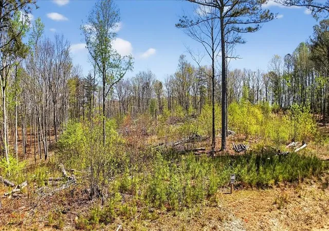 Photo 3 of Land for sale at 0 Twisted Oak Rd, Talking Rock, GA 30175 | MLS# 7745574 | Listing updated on 2026-09-09