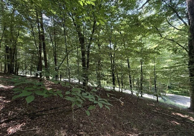 Photo 1 of Land for sale at Lt3469 Fir Ln, Ellijay, GA 30540 | MLS# 7787152 | Listing updated on 2026-10-16