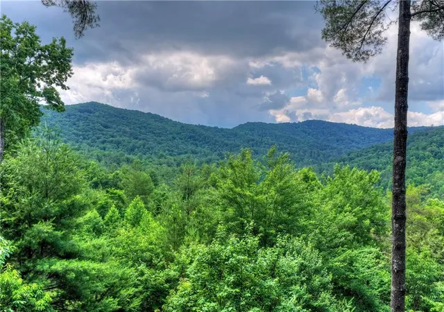 2nd image of 255 Indian Ridge Rd, Epworth, GA 30541 | MLS# 7788833